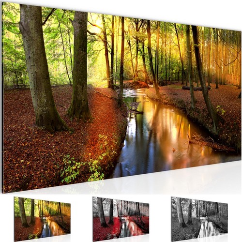 Wandbild wald landschaft bild - wandbild,