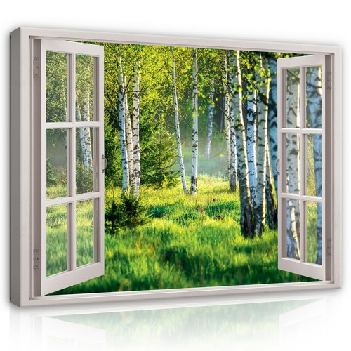 Fensterblick wald natur - fensterblick,