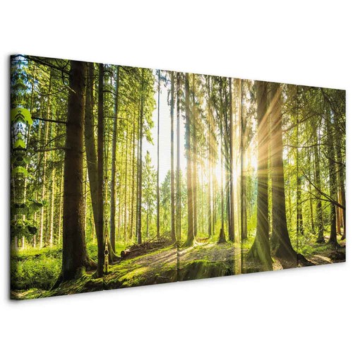 Wald vlies leinwandbild tlg - wald,