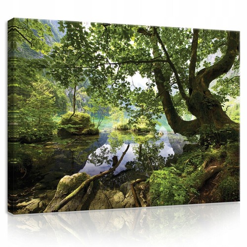 Leinwand bilder xxl - leinwand, baum