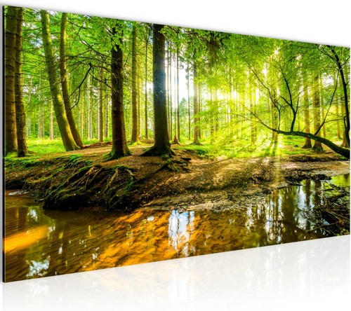 Bilder wald landschaft - wald,