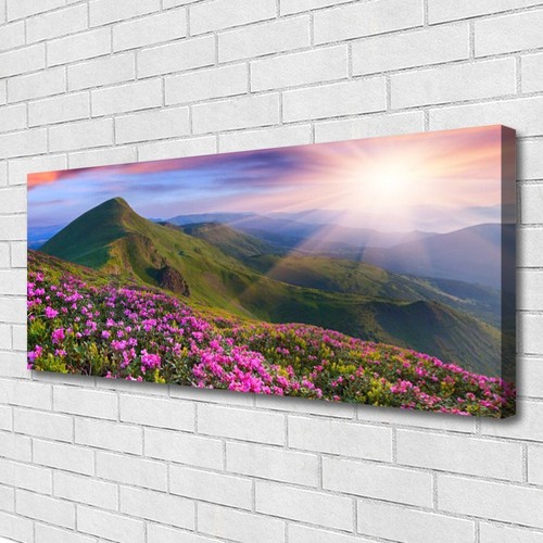 Leinwand bilder wandbild - leinwand-bilder,