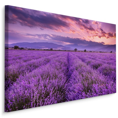 Canvas leinwand bilder - bilder, xxl