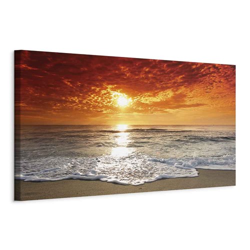 Landschaft natur wald sonne - wald,