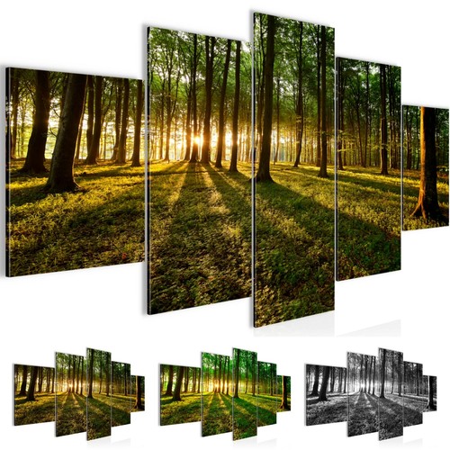 Wandbilder wohnzimmer xxl wald - wandbilder,