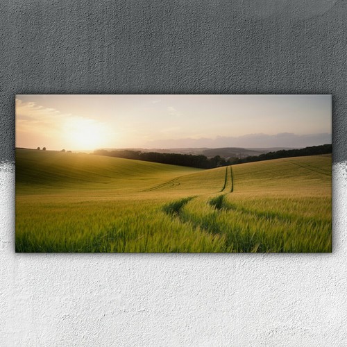 Landschaft des weizenfeldes - landschaft,