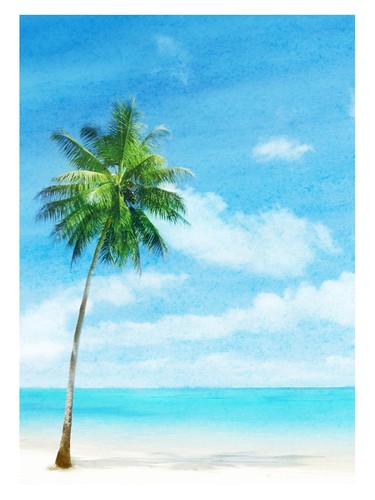 Tropisches palmstrand - tropisches,