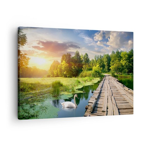 Wandbilder 70x50cm
