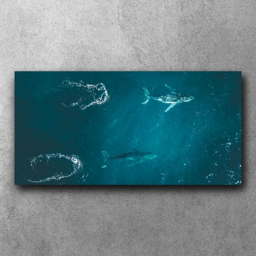 Leinwandbilder bilder leinwand - leinwandbilder,