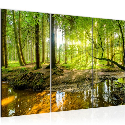 Wandbilder wohnzimmer xxl wald - wandbilder,