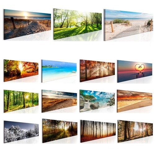 Wald strand meer natur - strand,