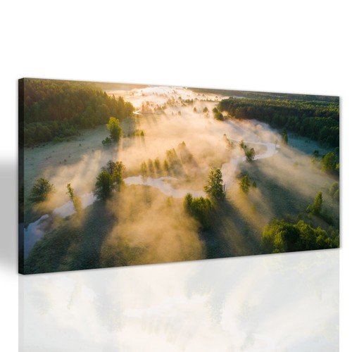 Nebel wald sonnenaufgang - nebel,