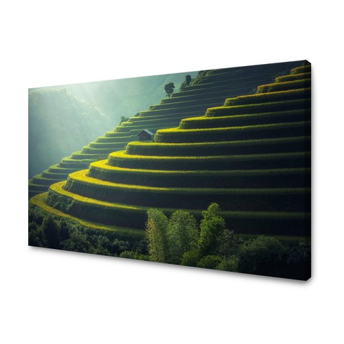 Leinwand bilder natur - leinwand-bilder,