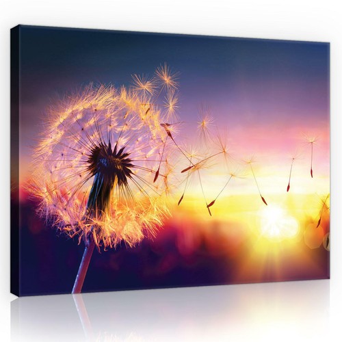 Canvas leinwand bilder xxl - leinwand,