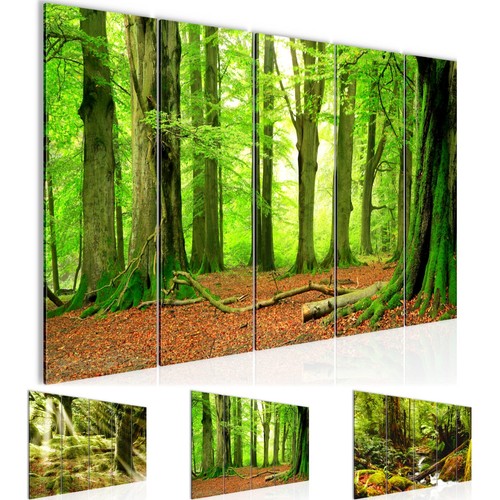 Wandbilder set wald - wandbilder,