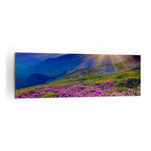 Wandbilder 160x50cm