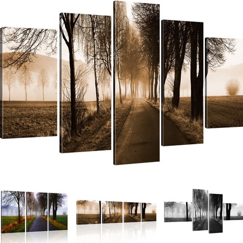 Bilder nebliger weg wandbilder - weg,