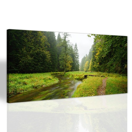Herbst wald landschaft - herbst,
