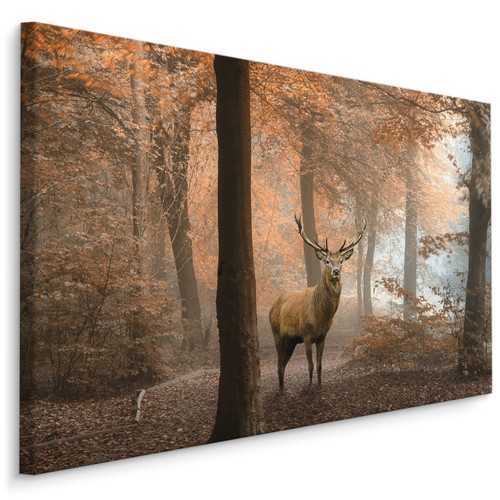 Canvas leinwand bilder - canvas,