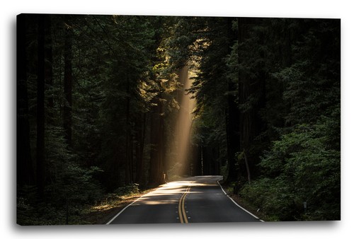 Wandbild landschaftsbilder - wandbild,