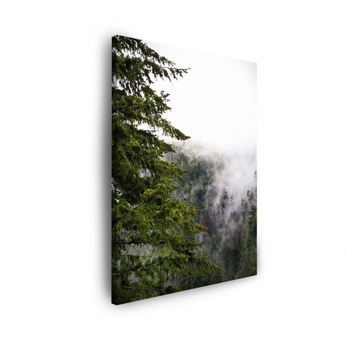 Leinwand bilder natur - natur,