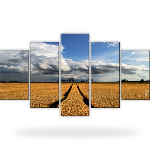 Landschaft wiese horizont bild - wiese,